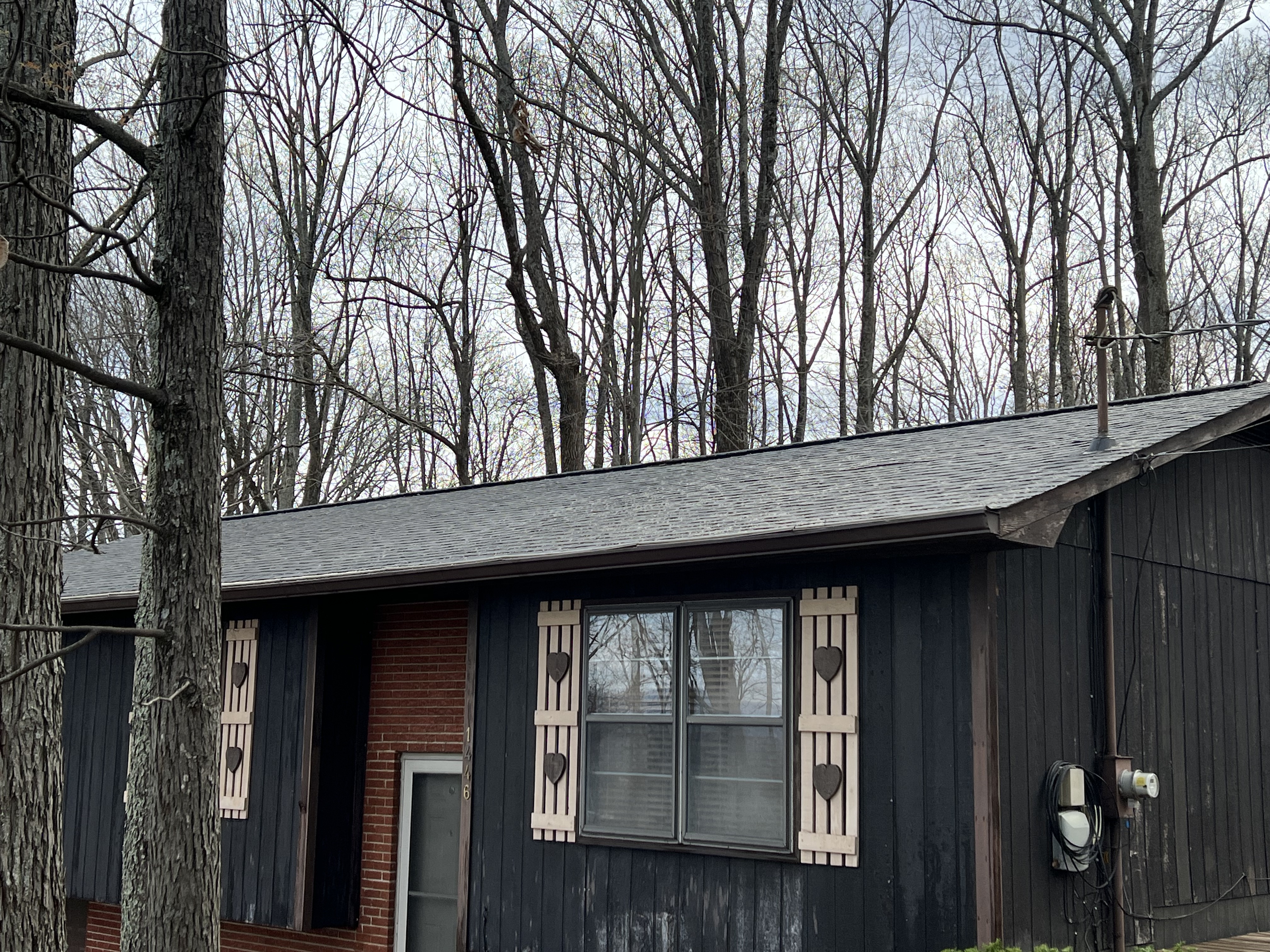 Top Quality Roof Cleaning in Morristown, Tennessee